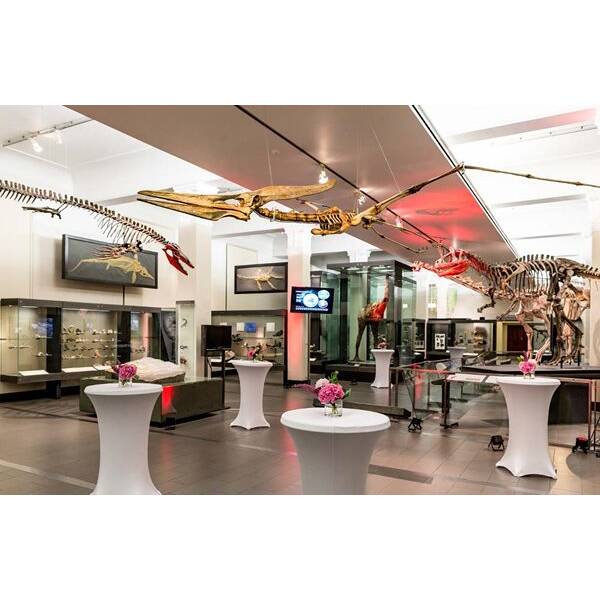 Origins Gallery