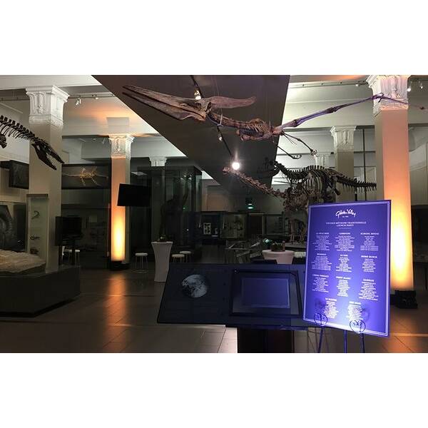 Origins Gallery